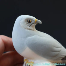 Load image into Gallery viewer, SCOTTISH POTTERY. Alasdair Dunn of Arran. Collectable 1970s Vintage Porcelain Models of a Peregrine Falcon and a Hen Harrier
