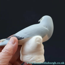 Load image into Gallery viewer, SCOTTISH POTTERY. Alasdair Dunn of Arran. Collectable 1970s Vintage Porcelain Models of a Peregrine Falcon and a Hen Harrier
