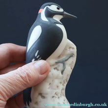 Load image into Gallery viewer, SCOTTISH POTTERY. Alasdair Dunn of Arran. Collectable 1970s Vintage Porcelain Models of Scottish a Woodpecker &amp; a Long Tailed Tit
