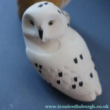Load image into Gallery viewer, SCOTTISH POTTERY. Alasdair Dunn of Arran. Collectable 1970s Vintage Porcelain Models of Scottish Owls
