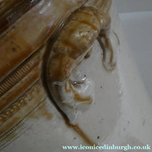 Load image into Gallery viewer, Antique Buchan Pottery Large Stoneware 12 lb. Storage Crock. MUSSELBURGH
