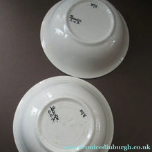 Load image into Gallery viewer, Scottish Pottery Pudding Bowl. Bough by Chrissie Amour
