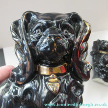 Load image into Gallery viewer, SCOTTISH POTTERY: Small Pair of Antique BO’NESS POTTERY Black Jackfield Style Spaniels with Gold Highlights - Scottish

