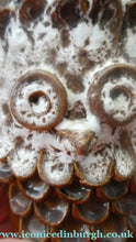 Load image into Gallery viewer, SCOTTISH POTTERY. Pair of Vintage TRAQUAIR Studio Pottery OWL Pots. Both Signed
