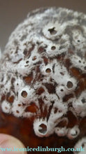 Load image into Gallery viewer, SCOTTISH POTTERY. Pair of Vintage TRAQUAIR Studio Pottery OWL Pots. Both Signed

