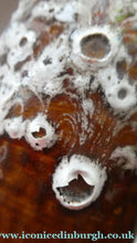 Load image into Gallery viewer, SCOTTISH POTTERY. Pair of Vintage TRAQUAIR Studio Pottery OWL Pots. Both Signed
