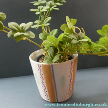 Load image into Gallery viewer, Rarer 1950s Buchan Stoneware Plant Pot. Stylish Abstract Pattern
