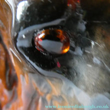 Load image into Gallery viewer, SCOTTISH POTTERY Antique SINGLE VICTORIAN Bo'ness Pottery Large Recumbent Lion, c 1900
