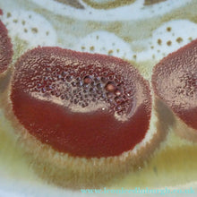 Load image into Gallery viewer, Stunning 1960s Large Scottish AVIEMORE POTTERY Plate / Shallow Dish. 10 inches
