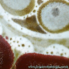 Load image into Gallery viewer, Stunning 1960s Large Scottish AVIEMORE POTTERY Plate / Shallow Dish. 10 inches
