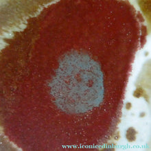 Load image into Gallery viewer, Stunning 1960s Large Scottish AVIEMORE POTTERY Plate / Shallow Dish. 10 inches
