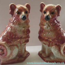 Load image into Gallery viewer, Large Bo'ness Pottery Victorian Staffordshire Ceramic Spaniels
