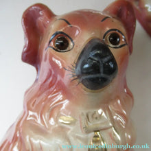 Load image into Gallery viewer, Large Bo'ness Pottery Victorian Staffordshire Ceramic Spaniels
