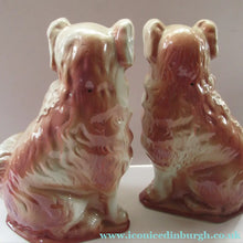 Load image into Gallery viewer, Large Bo'ness Pottery Victorian Staffordshire Ceramic Spaniels
