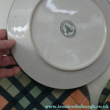 Load image into Gallery viewer, Vintage Tain Pottery DINNER PLATE. Heavy Duty Stoneware Pottery with Hand Painted Buchanan Tartan Pattern

