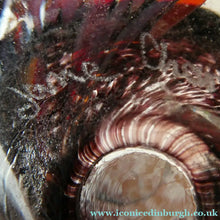 Load image into Gallery viewer, Scottish Art Glass Discus Paperweight by Jane Charles. Signed
