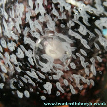 Load image into Gallery viewer, Scottish Art Glass Discus Paperweight by Jane Charles. Signed
