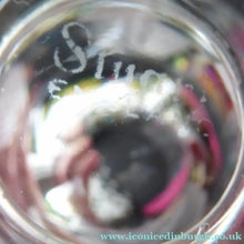 Load image into Gallery viewer, Set of Five STUART CRYSTAL WOODCHESTER Gin &amp; Tonic Glasses. With Engraved Fern Design. Signed
