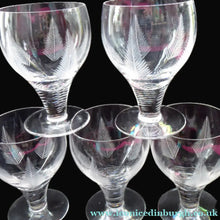 Load image into Gallery viewer, Set of Five STUART CRYSTAL WOODCHESTER Gin &amp; Tonic Glasses. With Engraved Fern Design. Signed
