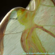 Load image into Gallery viewer, Siddy Langley British Studio Bowl Lustre Glass Bowl with Iridescent Gold Trails
