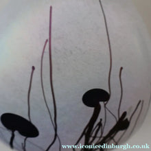 Load image into Gallery viewer, SIGNED John Ditchfield White Iridescent Glass Vase with Lily-pads &amp; Whiplash Trails. 7 Inches
