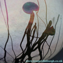 Load image into Gallery viewer, SIGNED John Ditchfield White Iridescent Glass Vase with Lily-pads &amp; Whiplash Trails. 7 Inches
