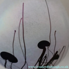 Load image into Gallery viewer, SIGNED John Ditchfield White Iridescent Glass Vase with Lily-pads &amp; Whiplash Trails. 7 Inches
