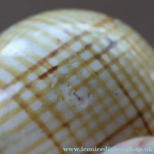 Load image into Gallery viewer, SINGLE Scottish Victorian Ceramic Carpet Bowl. Yellow Check Pattern 
