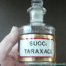 Load image into Gallery viewer, Small Antique Clear Glass Chemist Bottle. SUCC: TARAXACI with Original Foil Label and Lozenge Stopper
