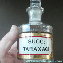 Load image into Gallery viewer, Small Antique Clear Glass Chemist Bottle. SUCC: TARAXACI with Original Foil Label and Lozenge Stopper
