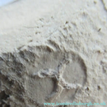 Load image into Gallery viewer, British Studio Pottery Clare Conrad St Ives Ceramic Vase
