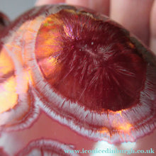 Load image into Gallery viewer, Julie Brooke Crystalline Glaze Miniature Bottle Vase
