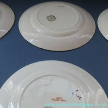 Load image into Gallery viewer, 1930s Art Deco Set of Six Side Plates BURLEIGH WARE. Rare Handpainted DAWN Pattern . 8 inches diameter
