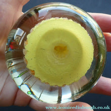 Load image into Gallery viewer, VASART Scottish Glass Paperweight with 5 Spokes; with yellow ground
