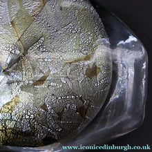 Load image into Gallery viewer, VERY LARGE 1990s Isle of Wight Studio ‘Azurene’ Fish Vase with Original Label (Timothy Harris; c 2009)

