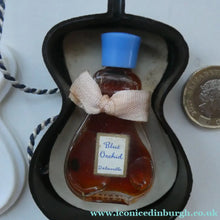 Load image into Gallery viewer, Very Rare 1930s Delavelle Blue Orchid Perfume Bottle in Novelty Guitar Case
