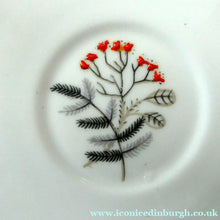 Load image into Gallery viewer, 1950s BONE CHINA Tea Set by ROYAL STAFFORDSHIRE. Vogue Pattern on Merlin Ware
