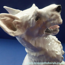 Load image into Gallery viewer, 1950s Rosenthal West Highland Terrier Figurine  by HEIDENREICH
