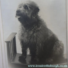 Load image into Gallery viewer, Antique 19th Century MAUCHLINE Ware Photograph Album with Image on cover of Broad Street, Peterhead
