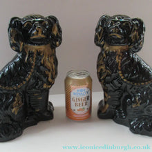 Load image into Gallery viewer, Antique STAFFORDSHIRE Black Jackfield Spaniels with Gold Highlights 
