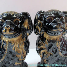 Load image into Gallery viewer, Antique STAFFORDSHIRE Black Jackfield Spaniels with Gold Highlights 
