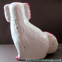 Load image into Gallery viewer, LARGE Antique Pair of Staffordshire Dogs Chimney Spaniels / Wally Dugs; 12 1/4 inches

