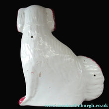 Load image into Gallery viewer, LARGE Antique Pair of Staffordshire Dogs Chimney Spaniels / Wally Dugs; 12 1/4 inches
