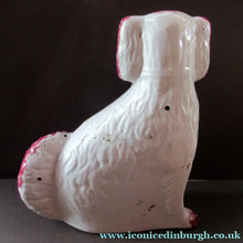 Load image into Gallery viewer, LARGE Antique Pair of Staffordshire Dogs Chimney Spaniels / Wally Dugs; 12 1/4 inches

