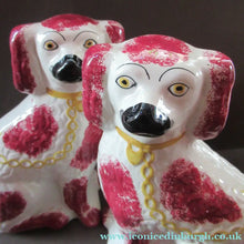 Load image into Gallery viewer, LARGE Antique Pair of Staffordshire Dogs Chimney Spaniels / Wally Dugs; 12 1/4 inches
