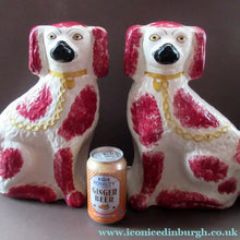 Load image into Gallery viewer, LARGE Antique Pair of Staffordshire Dogs Chimney Spaniels / Wally Dugs; 12 1/4 inches
