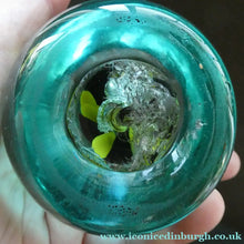 Load image into Gallery viewer,  Antique Victorian Dump Papweight with Trumpet Petunia Style Flower
