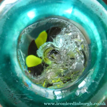 Load image into Gallery viewer,  Antique Victorian Dump Papweight with Trumpet Petunia Style Flower
