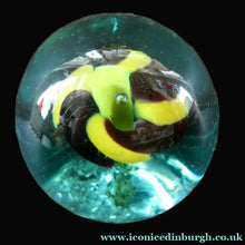 Load image into Gallery viewer,  Antique Victorian Dump Papweight with Trumpet Petunia Style Flower
