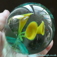 Load image into Gallery viewer,  Antique Victorian Dump Papweight with Three Yellow Trumpet  Flowers
